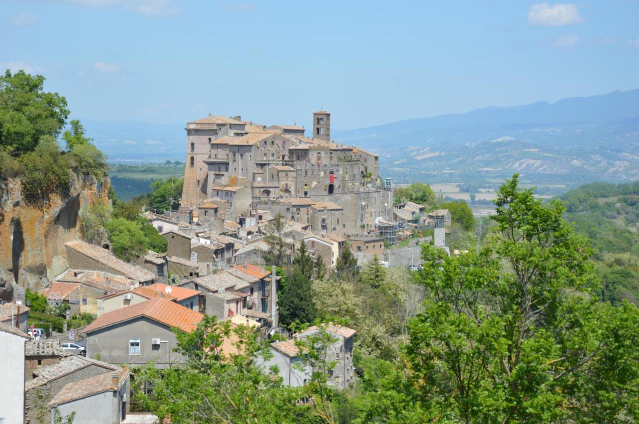 B&B Il Grifo Bomarzo Εξωτερικό φωτογραφία